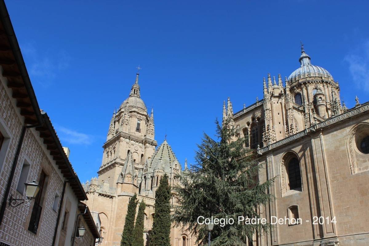 2014 03 22 SALAMANCA CATEDRAL PATIO CHICO (58)